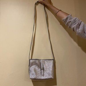 NWOT J Crew Silver Crossbody